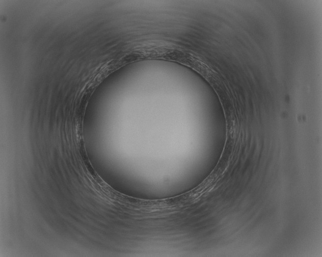 X0000076411108200610060946