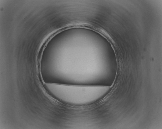 X0000076411124200610060947