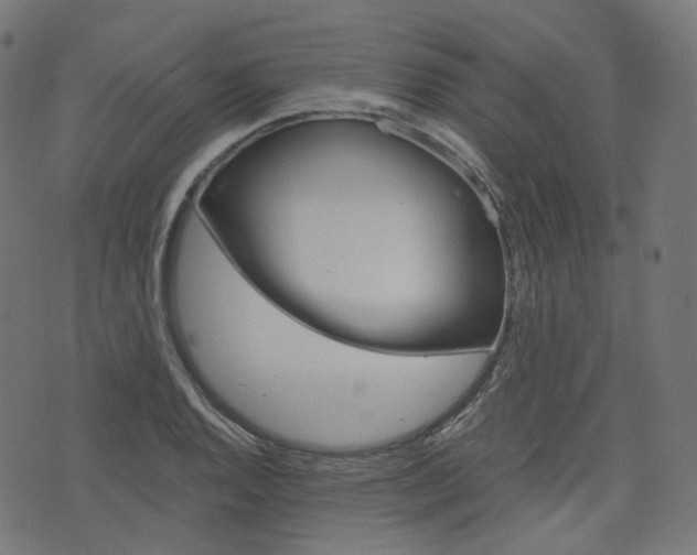 X0000076411128200610060947
