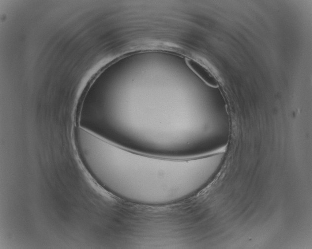 X0000076411136200610060947