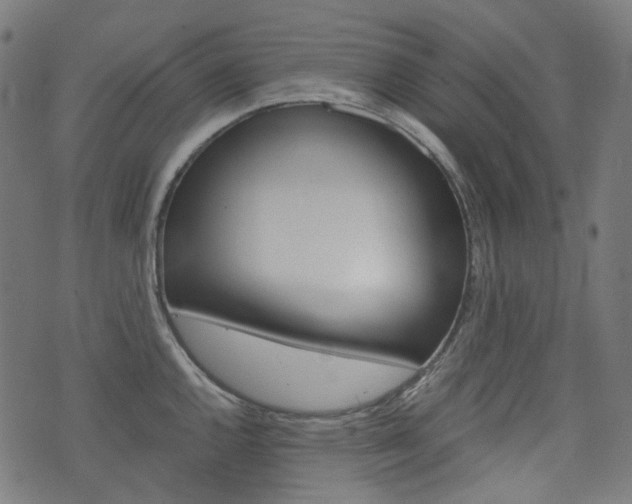 X0000076411144200610060947