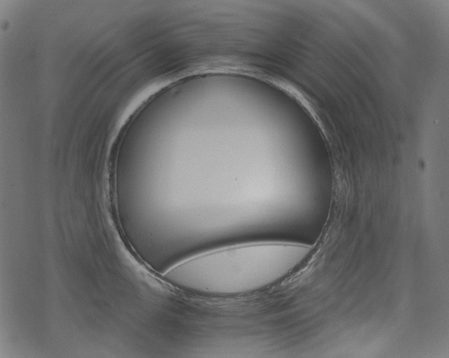 X0000076411147200610060947