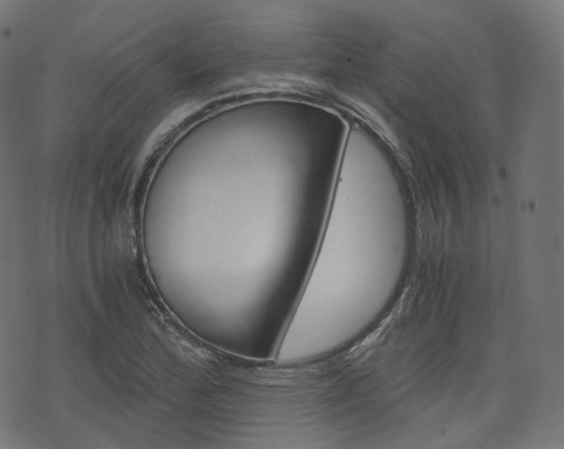 X0000076411172200610060946