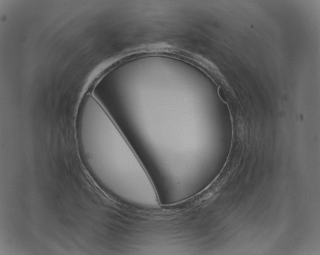 X0000076411176200610060946
