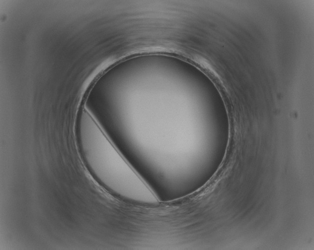 X0000076411181200610060946