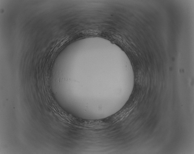 X0000076411201200610060945