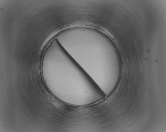 X0000076411216200610060945