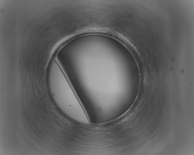 X0000076411222200610060945