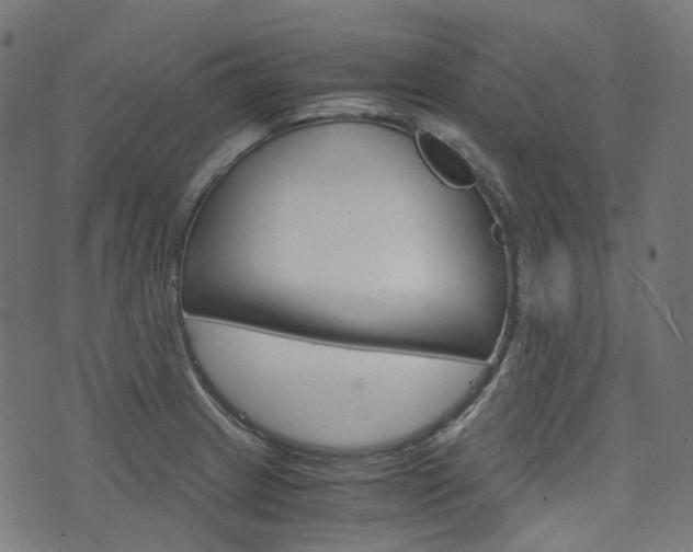 X0000076411233200610060945