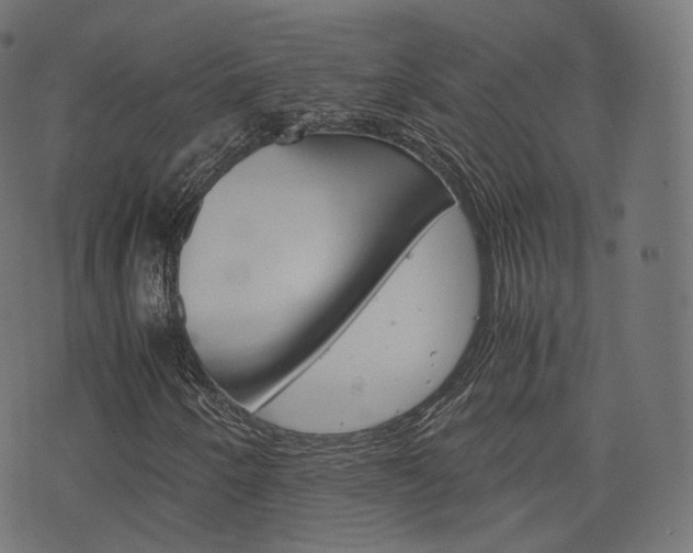 X0000076411250200610060945