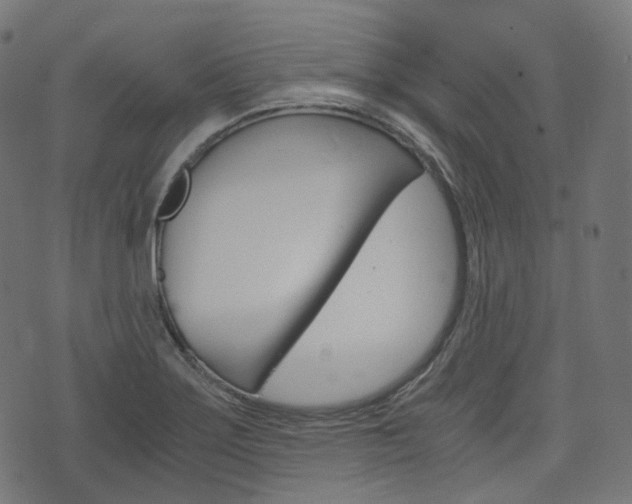X0000076411275200610060944
