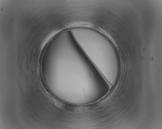 X0000076411277200610060944