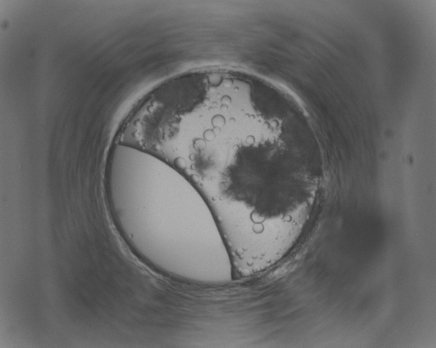 X0000076411279200610060944