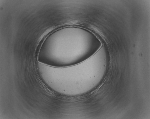 X0000076411308200610060943