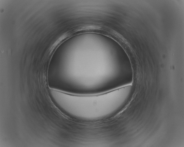X0000076411321200610060944