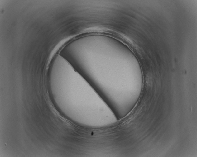 X0000076411323200610060944