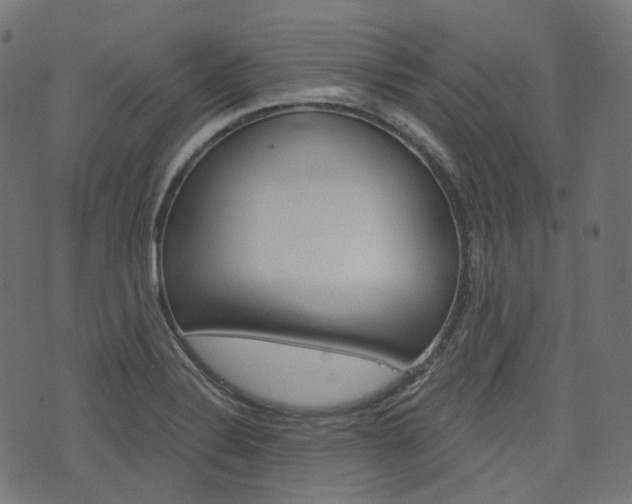 X0000076411324200610060944