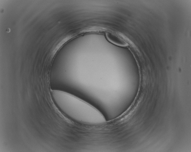 X0000076411329200610060944