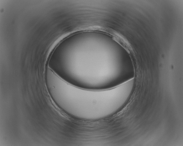 X0000076411332200610060944
