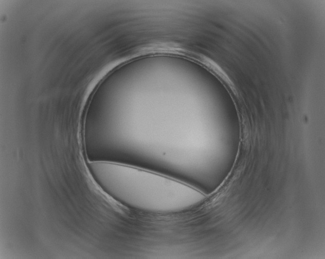 X0000076411339200610060944