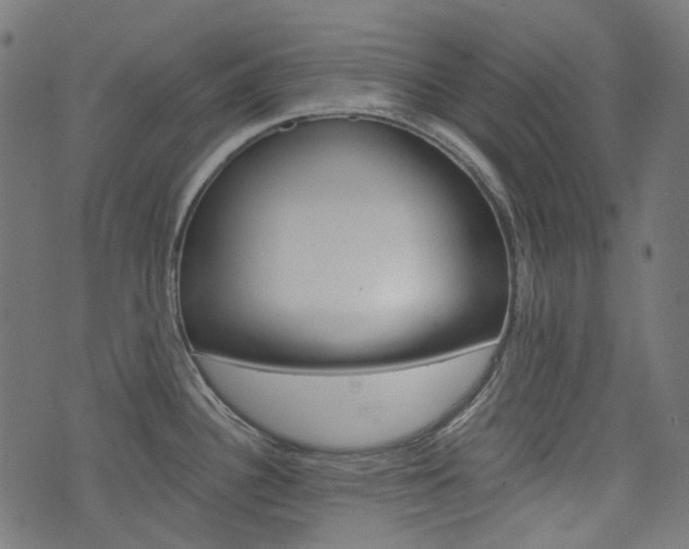 X0000076411340200610060944