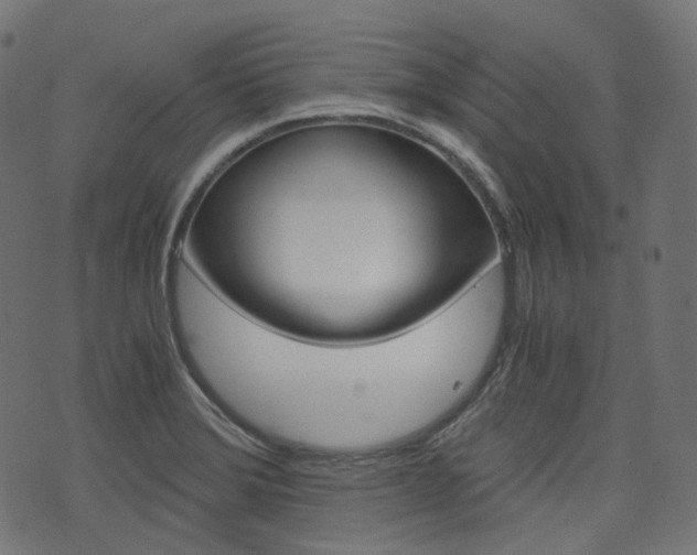 X0000076411372200610060943