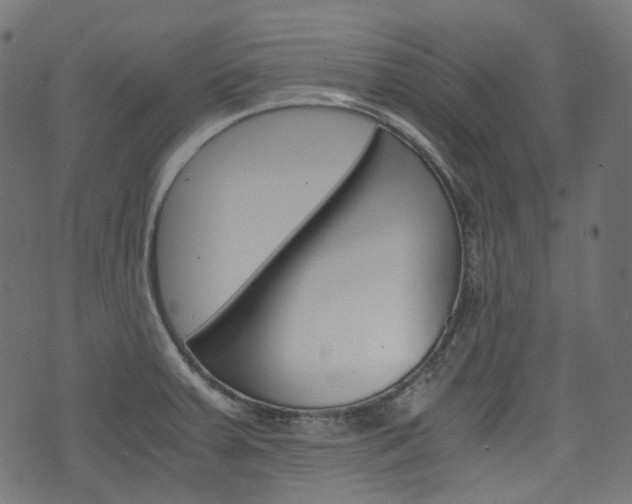 X0000076411379200610060943