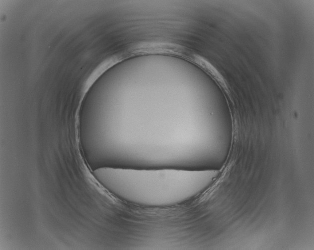 X0000076411386200610060942