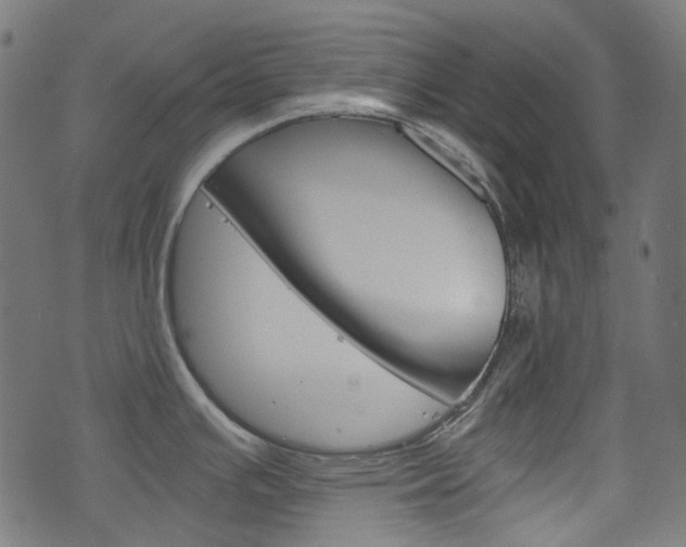 X0000076411391200610060942