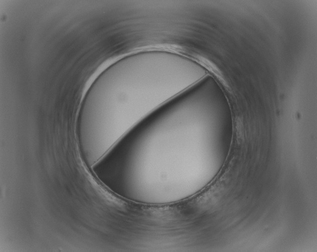 X0000076411428200610060942