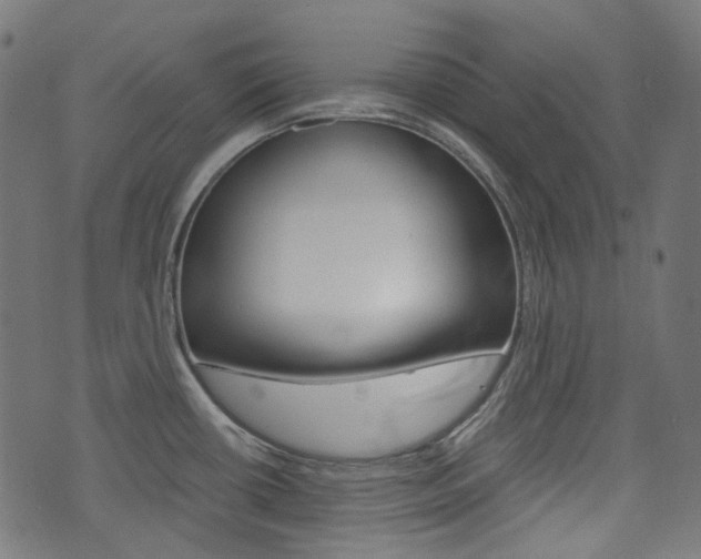 X0000076411434200610060942