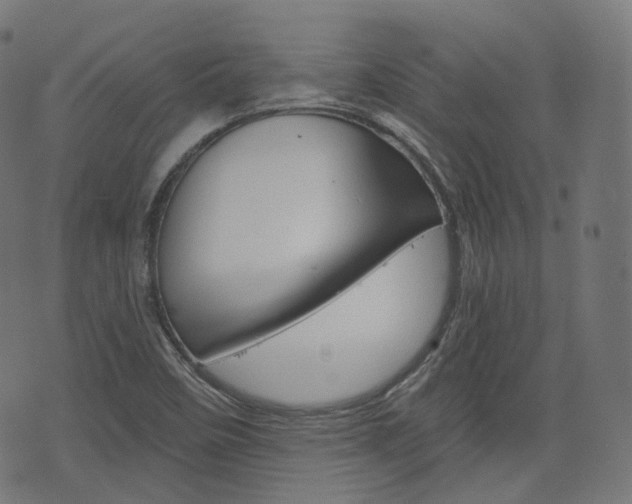 X0000076411458200610060941