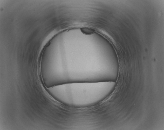 X0000076411467200610060941