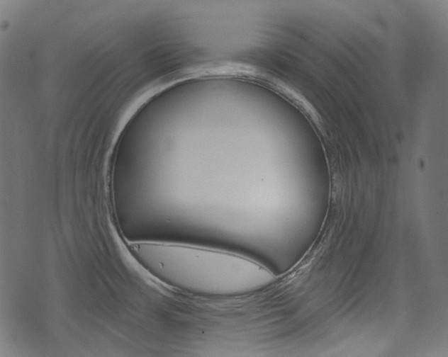 X0000076411483200610060941