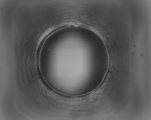 X0000076410008200610061151