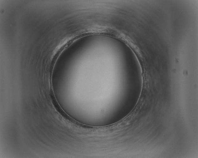 X0000076410011200610061151