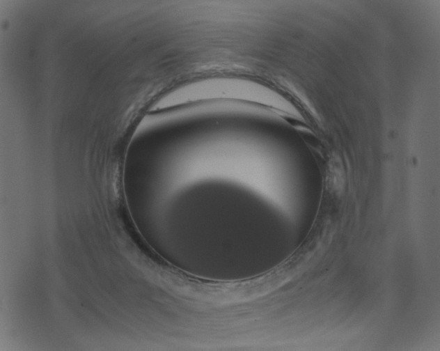 X0000076410023200610061151