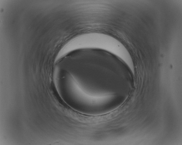X0000076410031200610061150