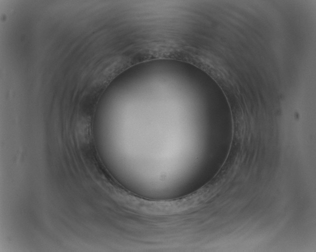 X0000076410034200610061150
