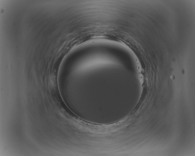 X0000076410035200610061150