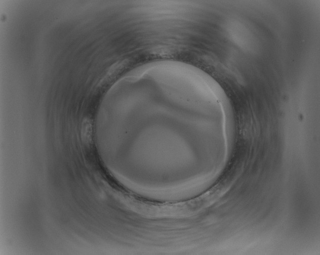 X0000076410036200610061150