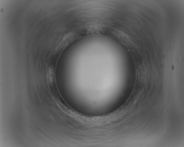 X0000076410038200610061150
