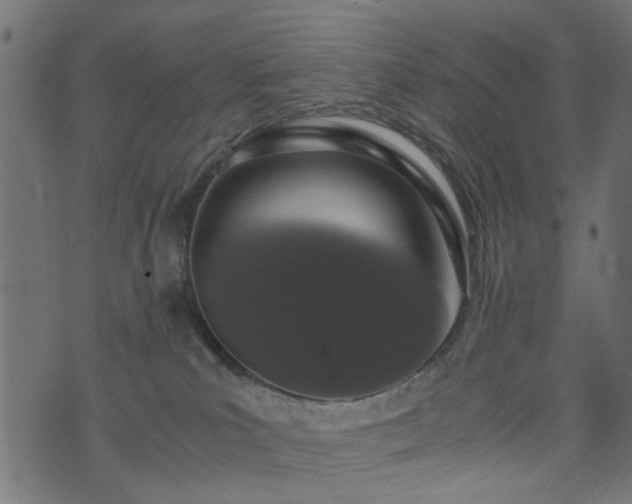 X0000076410039200610061150