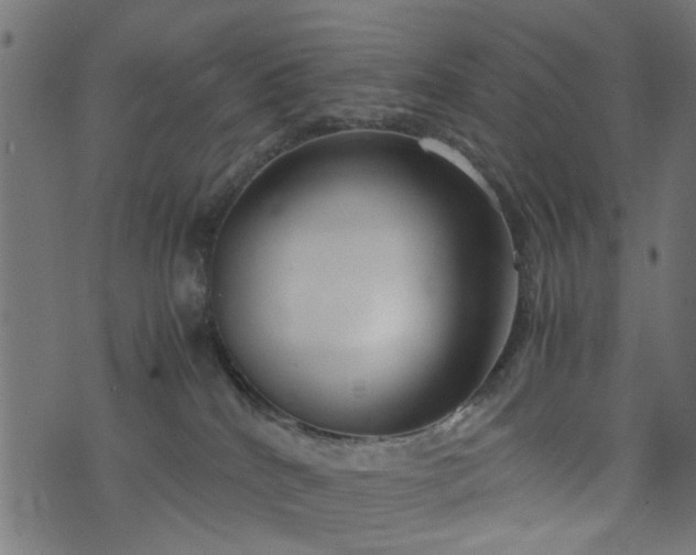 X0000076410040200610061150
