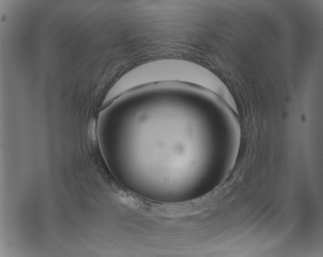 X0000076410041200610061150