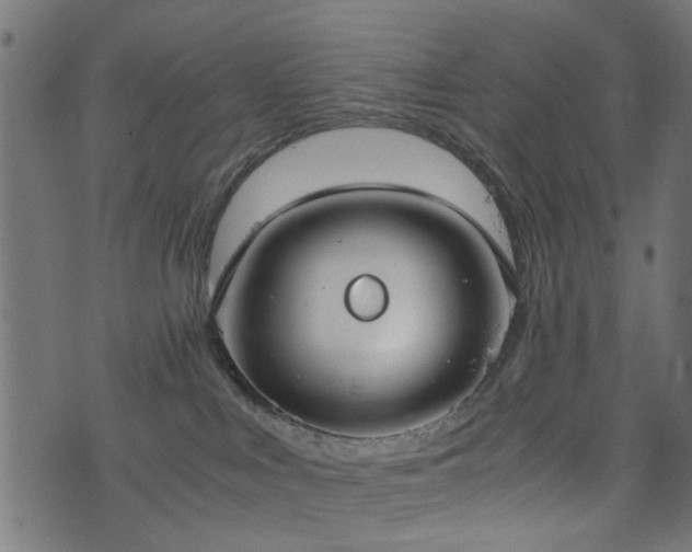 X0000076410043200610061150