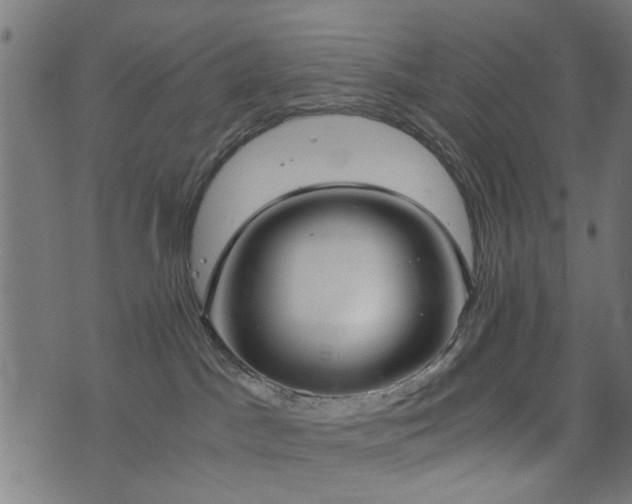 X0000076410045200610061150
