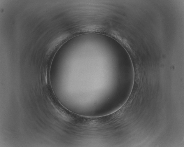 X0000076410062200610061150