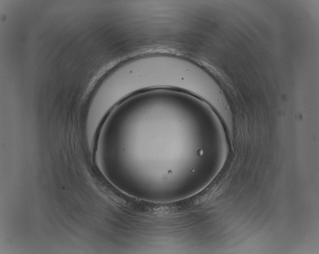 X0000076410064200610061150