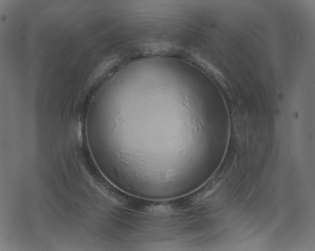 X0000076410067200610061150